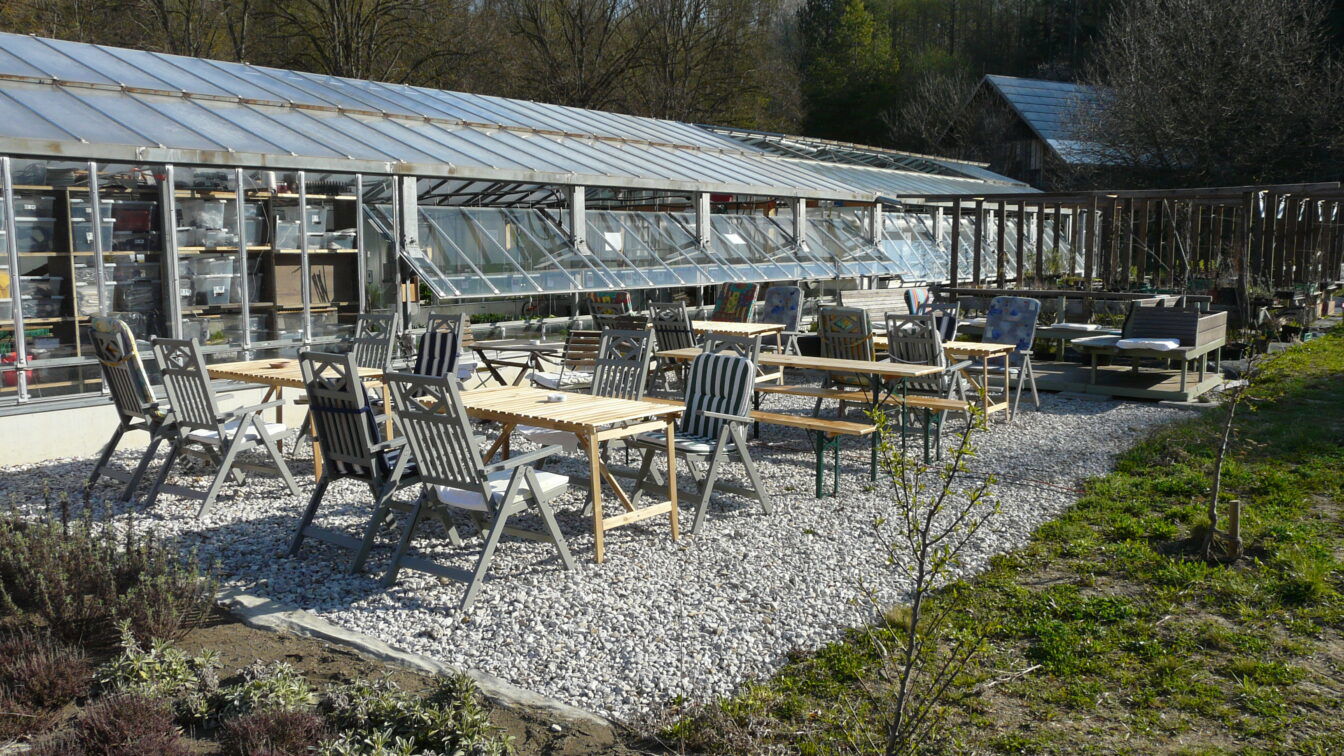 (c) Michael Wuchty Terrasse Vinzi Rast