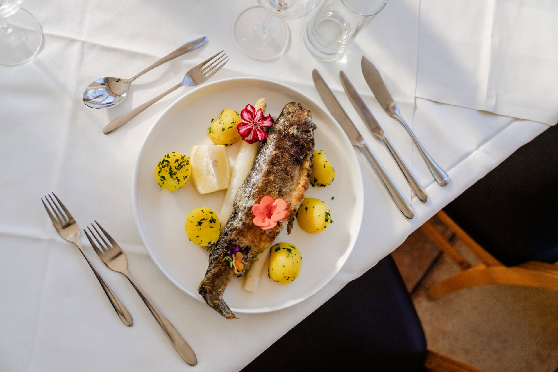 Fisch am Teller (c) Tourismusverband Donau Oberösterreich | CM Visuals