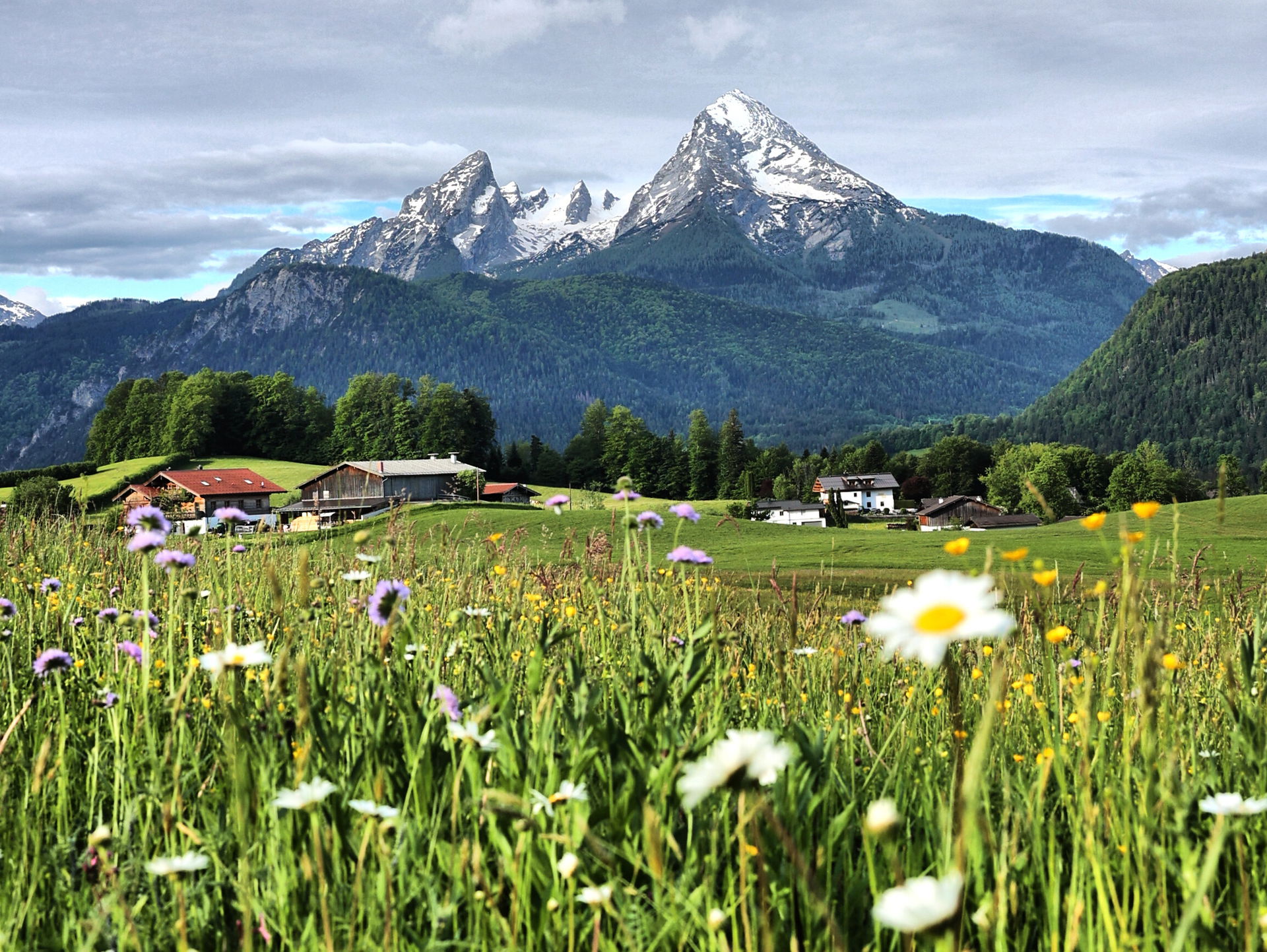 Berg und Frühlingswiese in Berchtesgaden