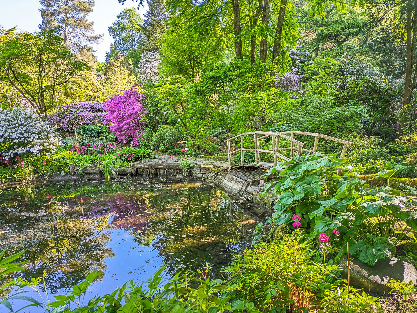 Botanischer Garten der Universität Tübingen (c) Verkehrsverein Tübingen