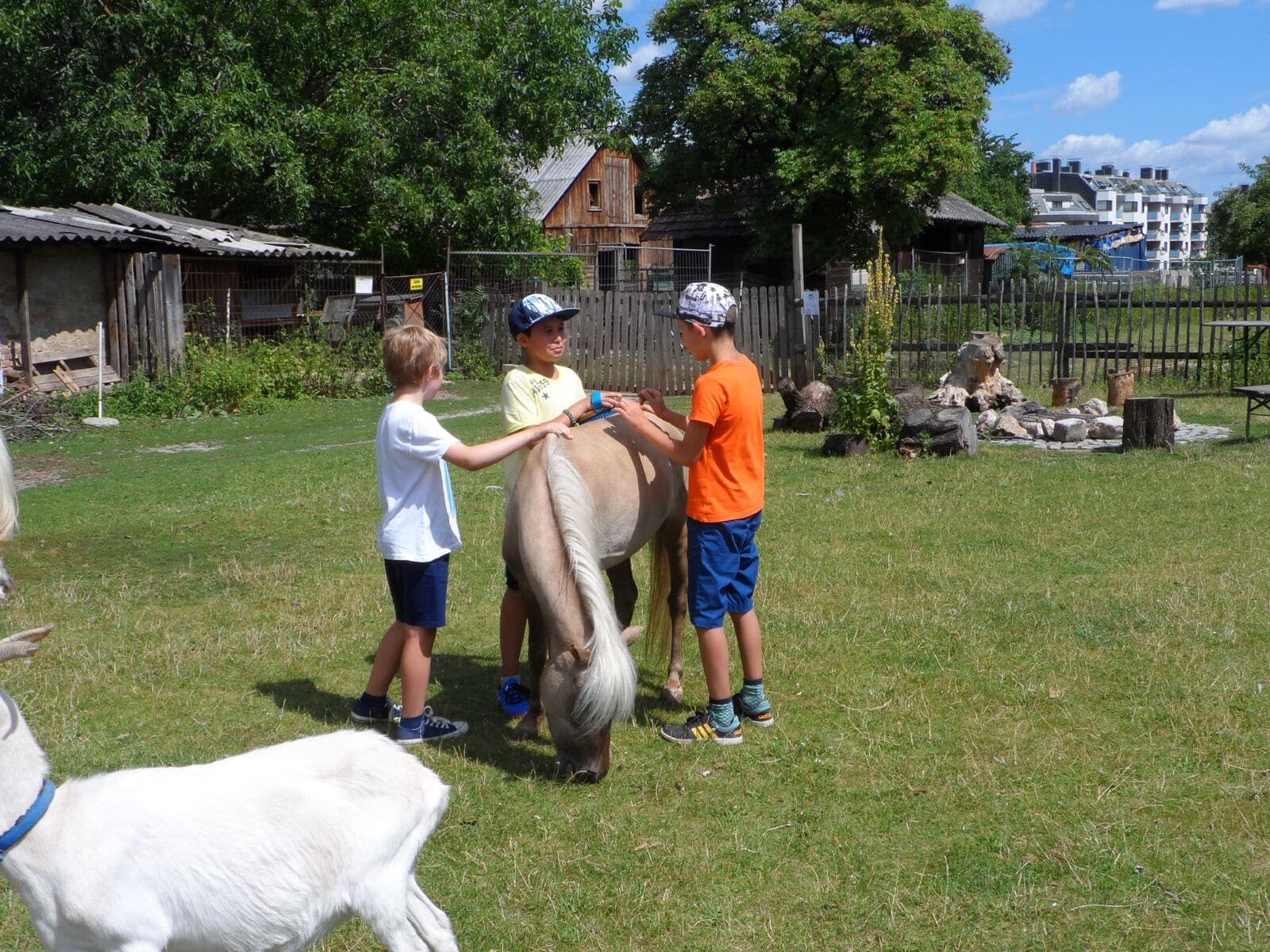 Erlebnishof Simmering: Kinder streicheln eines der Ponys