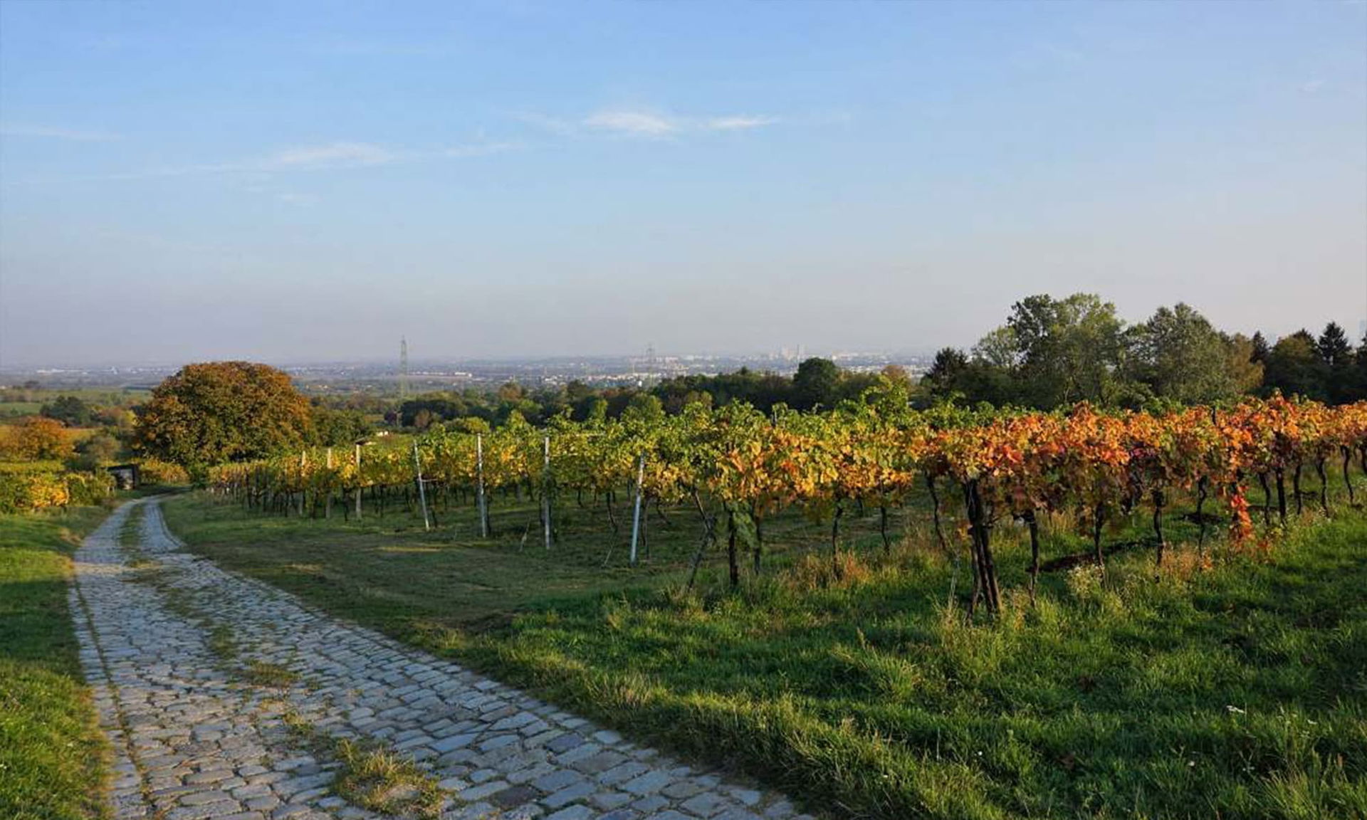 Stammersdorf | Stadtwanderweg 5