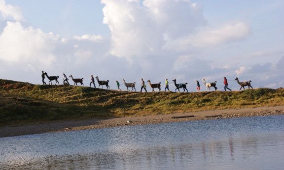 lama trekking in kaernten